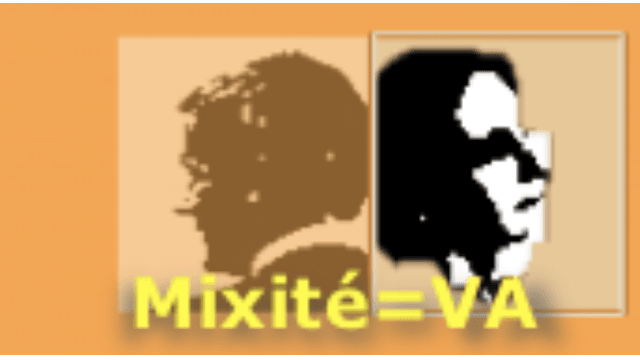 Cas client : Mixité = Valeur ajoutée ; y compris dans les instances dirigeantes, pour un groupe industriel du CAC40